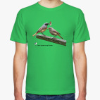 Обыкновенные горихвостки