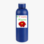 Термобутылка