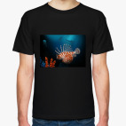 Подводный мир и рыба крылатка