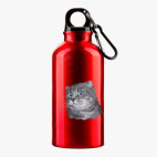 Металлическая бутылка 400 мл UV-DTF