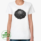 цветок бессмертника