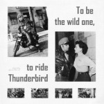 'The wild one'