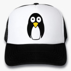 Кепки Trucker