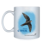 Стриж