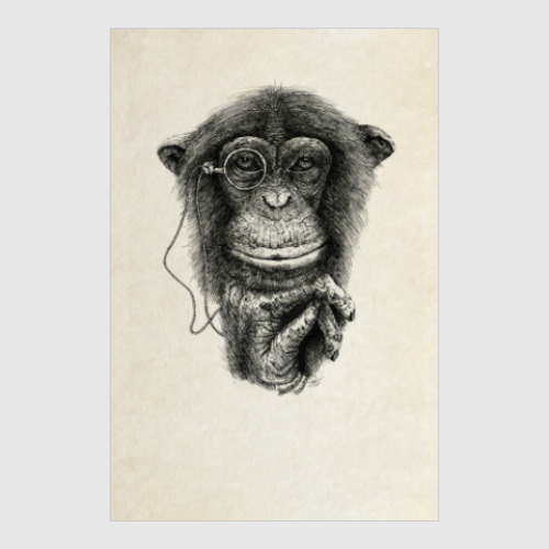 Постер Monkey