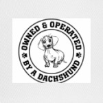 Owned & Operated By Dachshund