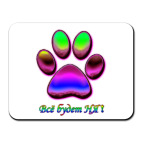 'Все будет НЯ!'