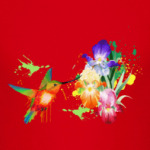 Ирисы и колибри