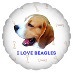 Веселый Бигль