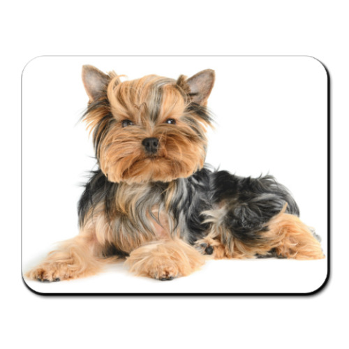 Коврик для мыши с принтом Dog