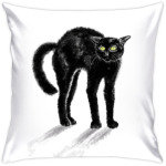 Черная кошка шипит