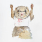 Хорек-спортсмен