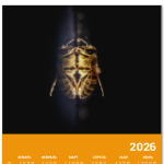 Зеркальная пчела