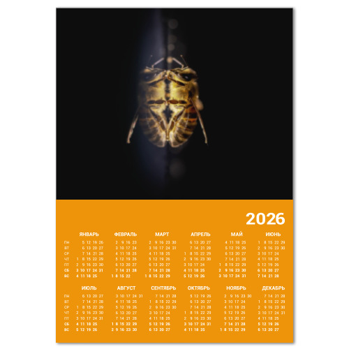 Календарь с принтом Зеркальная пчела