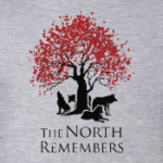 Игра престолов.Север помнит