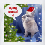 Я дед мороз!
