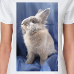 Гордая кролька