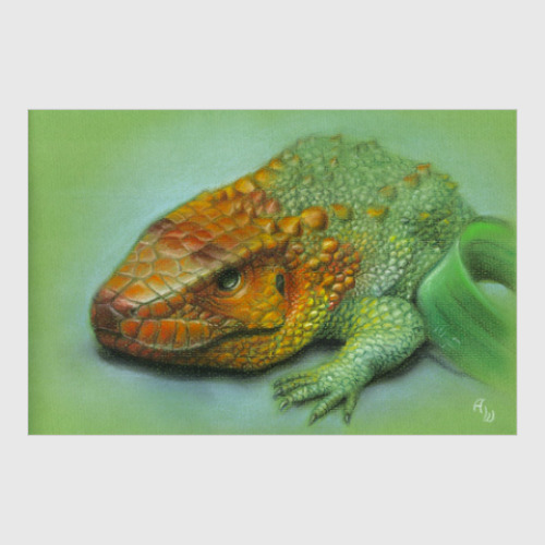 Постер Гвианский дракон