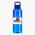 Прозрачная спортивная бутылка