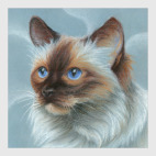 Чоклит-пойнт