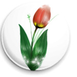 Тюльпан