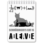 Котэ Шрёдингера