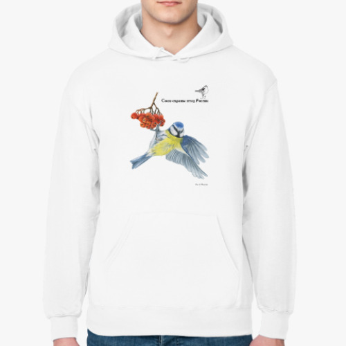 Толстовка худи с принтом Лазоревка