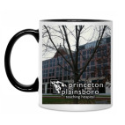 Princeton plainsboro