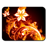 Огненные цветы