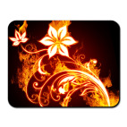 Огненные цветы