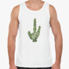 Пятнистый кактус