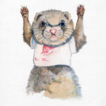 Хорек - спортсмен