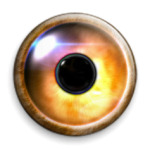  Глаз Саурона