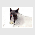 Я тоже хочу нежности и мяса