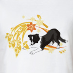 бордер колли