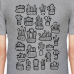 Коллекция смешных кактусов в горшочках