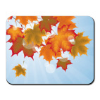 Осенняя пора