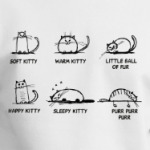 Soft kitty сериал Теория большого взрыва