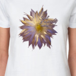 Душа Кактуса