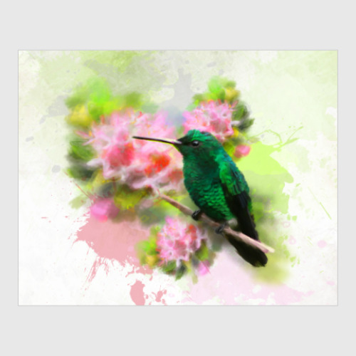Постер Колибри в цветах