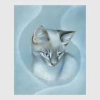 Блю-тэбби-пойнт