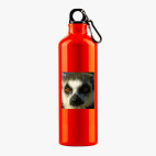 Металлическая бутылка 700 мл UV-DTF