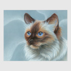 Чоклит-пойнт