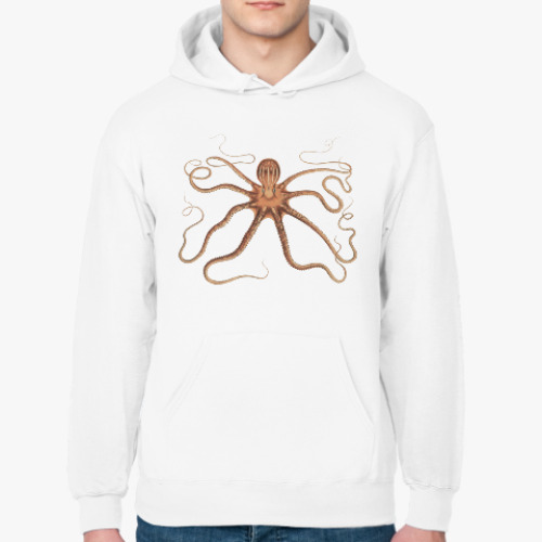 Толстовка худи с принтом Осьминог