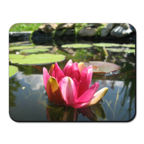 Коврик для мыши с принтом Кувшинка