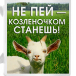 Не пей, козленочком станешь