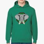 Толстовка худи