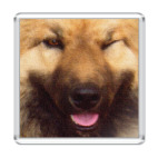 Магнит 6.5 x 6.5 см Собака Подмигивака