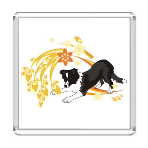 Магнит бордер колли