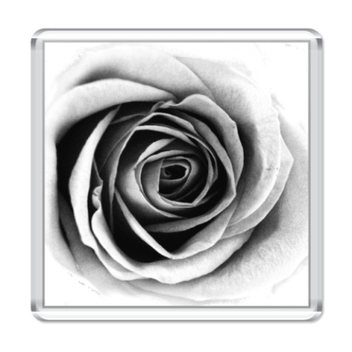 Магнит с принтом  'роза'